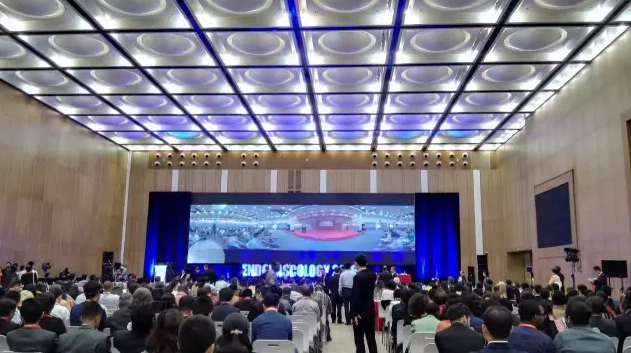 国产精品激情