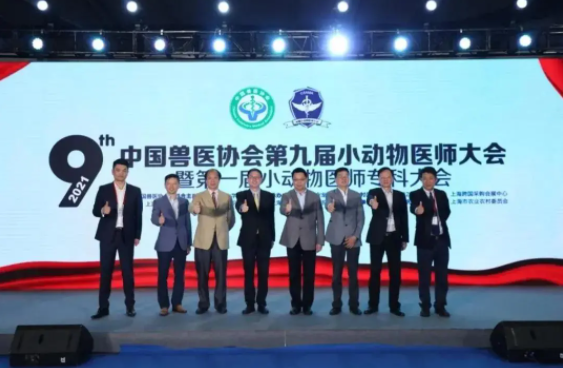 国产精品激情