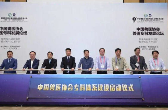 国产精品激情